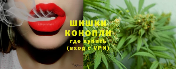 ГАЛЛЮЦИНОГЕННЫЕ ГРИБЫ Богородицк