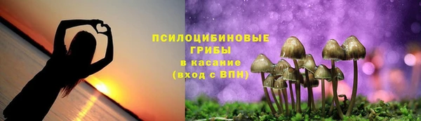 ГАЛЛЮЦИНОГЕННЫЕ ГРИБЫ Богородицк