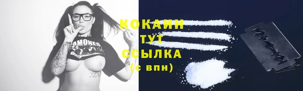 крисы Богданович