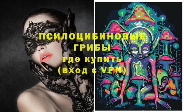 крисы Богданович