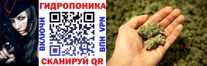 МАРИХУАНА тримм  где купить наркоту  Светлый 